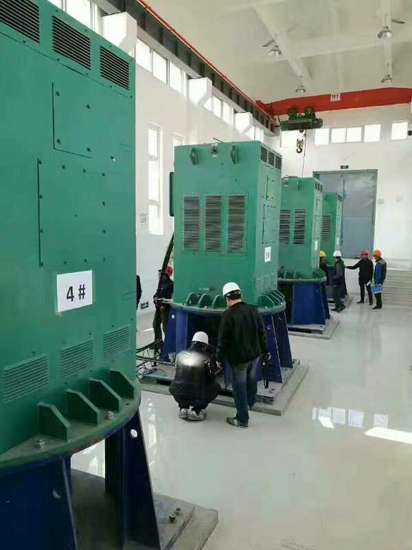 JR115-4某污水处理厂使用我厂的立式高压电机安装现场