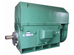JR115-4Y系列6KV高压电机