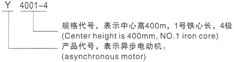 西安泰富西玛Y系列(H355-1000)高压JR115-4三相异步电机型号说明