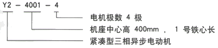 YR系列(H355-1000)高压JR115-4三相异步电机西安西玛电机型号说明